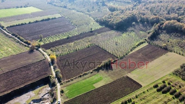  Satılık Tarla 