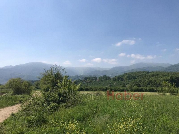  Satılık Tarla 