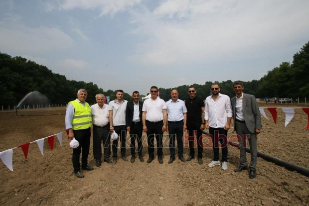 Akyazı’da Kara Mürver fideleri toprakla buluştu