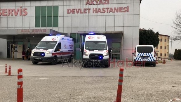 Akyazı'da yılanın ısırdığı kişi hastanelik oldu
