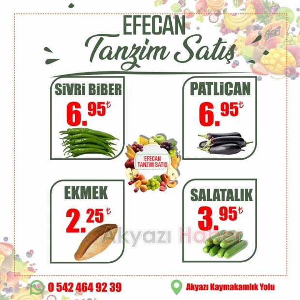 Efecan Tanzim Satış'a Yaz Geldi