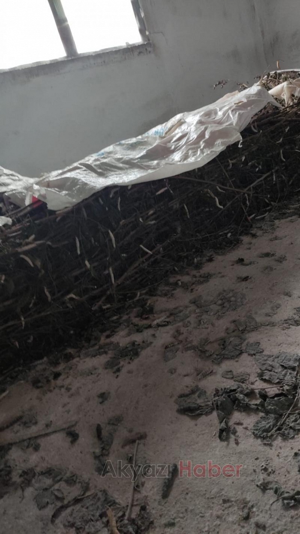  İpek böcekleri koza olamadan öldüler, kooperatifi suçladı