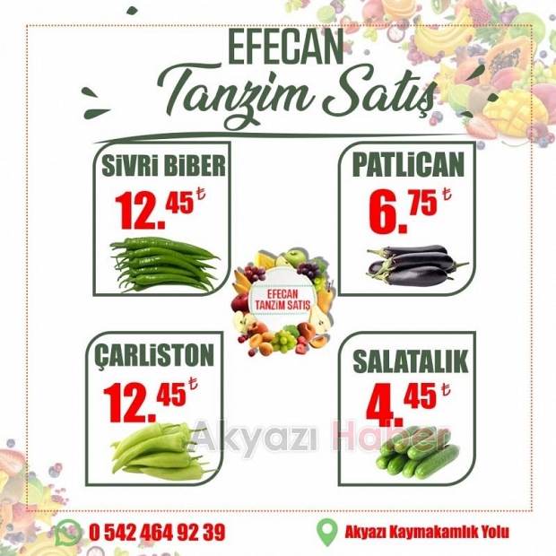 Efecan Tanzim Satış'a Yaz Geldi