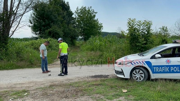 Akyazı'da tarlada kanlı infaz