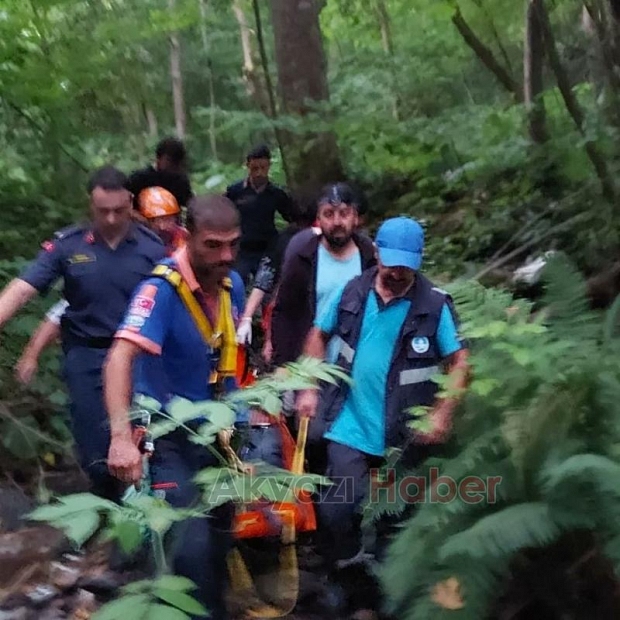 Mantar toplarken kayboldular, biri yaralı bulundu