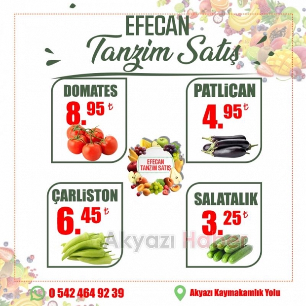 Ferah Bir Yaz için, Efecan Tanzim !