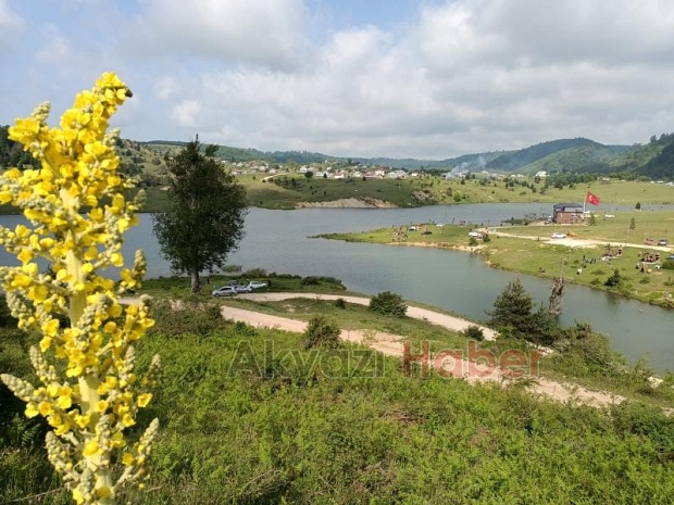  Acelle Şenliği bu yıl dop dolu