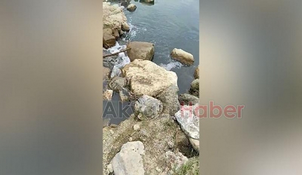 Mudurnu'ya akan derenin rengi siyaha döndü