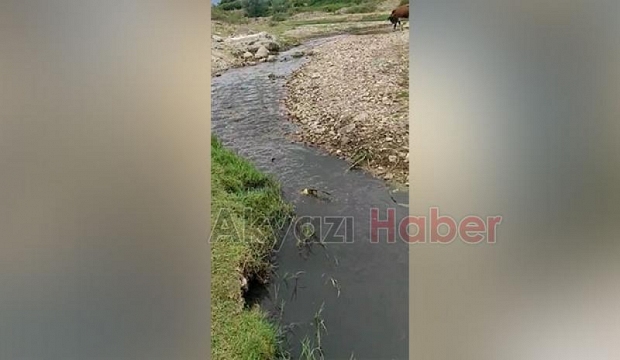 Mudurnu'ya akan derenin rengi siyaha döndü