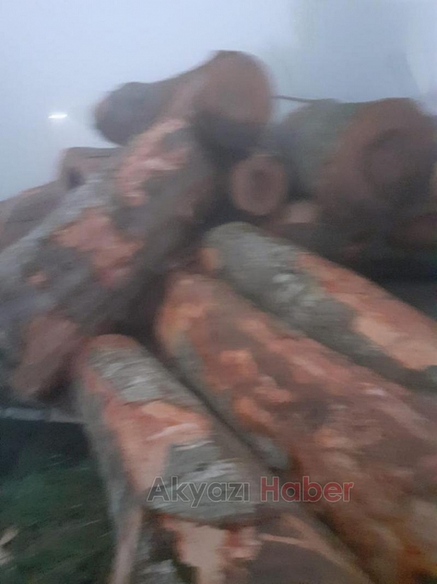 Tomruk yüklü kamyonun freni patladı, faciadan dönüldü