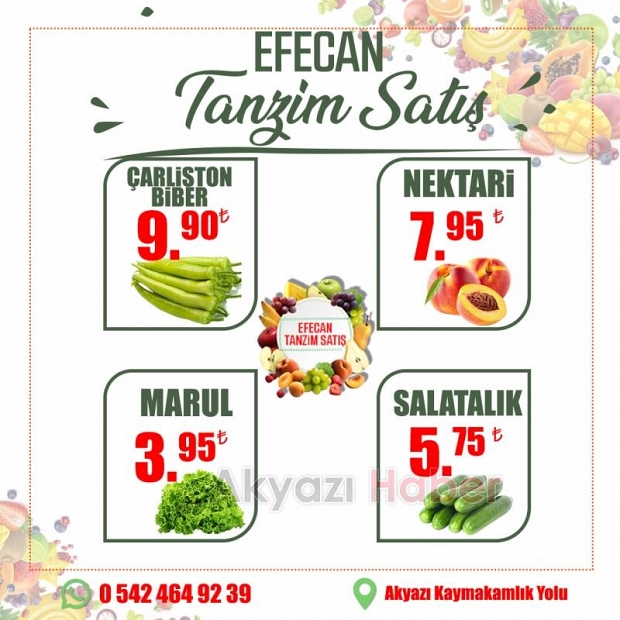 Efecan Tanzim Satış'ta yüzde yüz lezzet