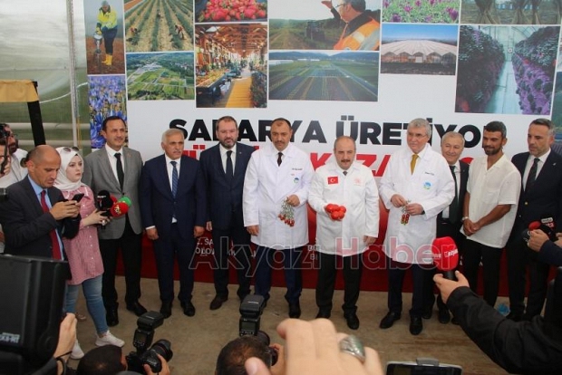  Bakan Varank Akyazı'da domates hasadı yaptı