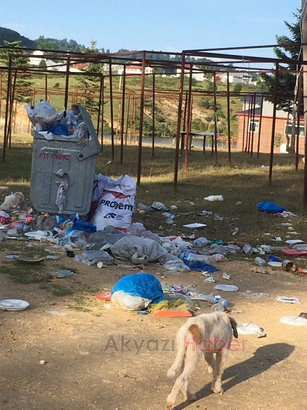 Acelle Yaylası'nda tepki çeken görüntü