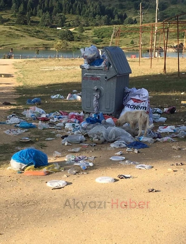 Acelle Yaylası'ndaki çöpler temizlendi