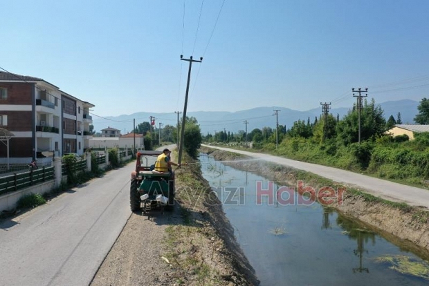  ilaçlama çalışmaları aralıksız sürüyor