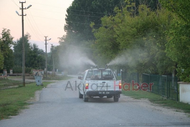  ilaçlama çalışmaları aralıksız sürüyor