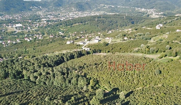 Mevlana Emlak'tan Yatırımlık Arsa