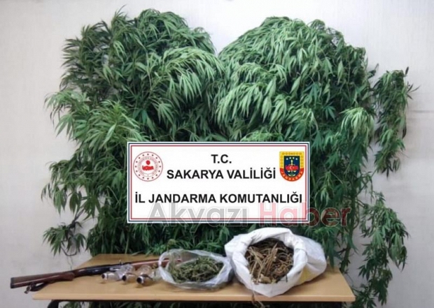 Üç ilçede uyuşturucu operasyonu
