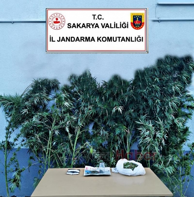Akyazı'da uyuşturucu operasyonu