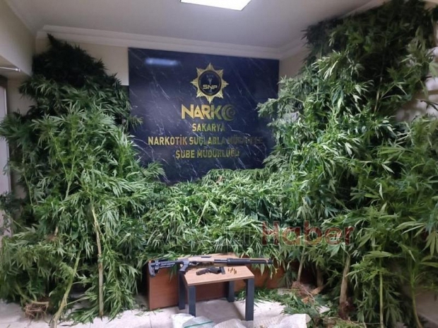 Narkotik operasyonlarında 100 gözaltı