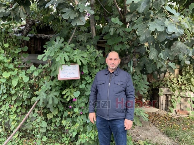 Bu bahçeden meyve yemek serbest!