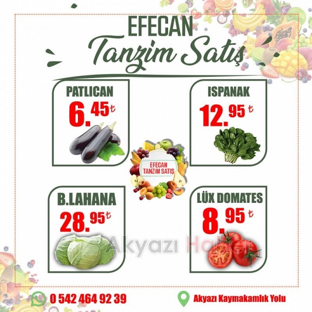 Efecan Tanzim İle Her Mevsim, Tazeliği Keşfedin
