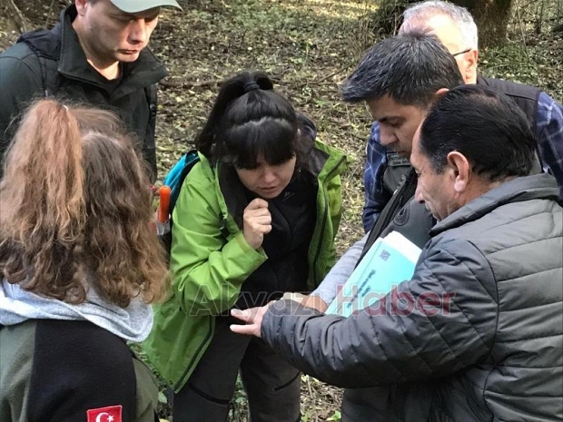 Dişbudak zümrüt kurdu alarmı