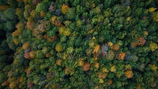 Gününen güzel fotoğrafları