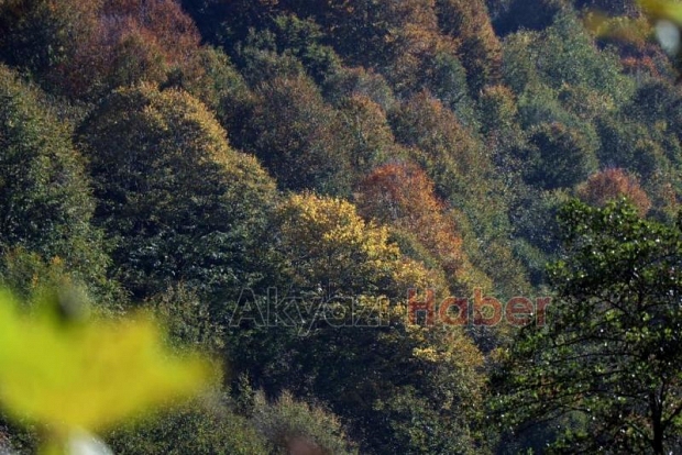 Gününen güzel fotoğrafları