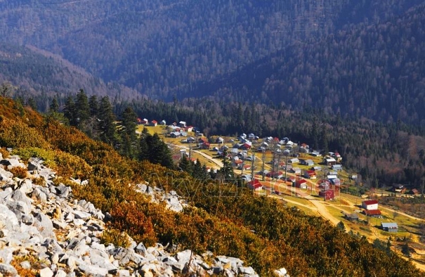 Doğanın sesini Dikmen’de dinlediler