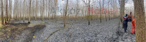 Akyazı'da anız yangını