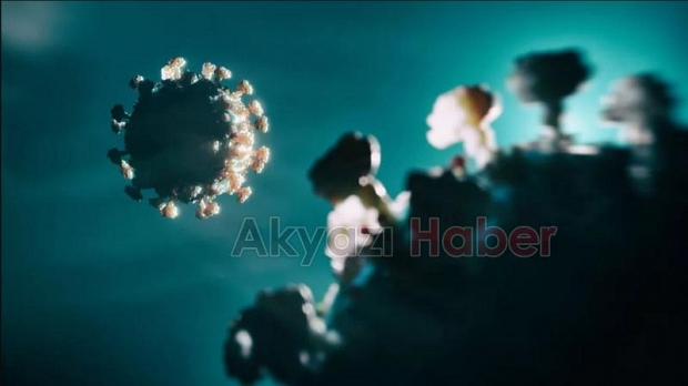 İnsandan insana bulaşıyor, Dünya Kupası'ndan yayılabilir