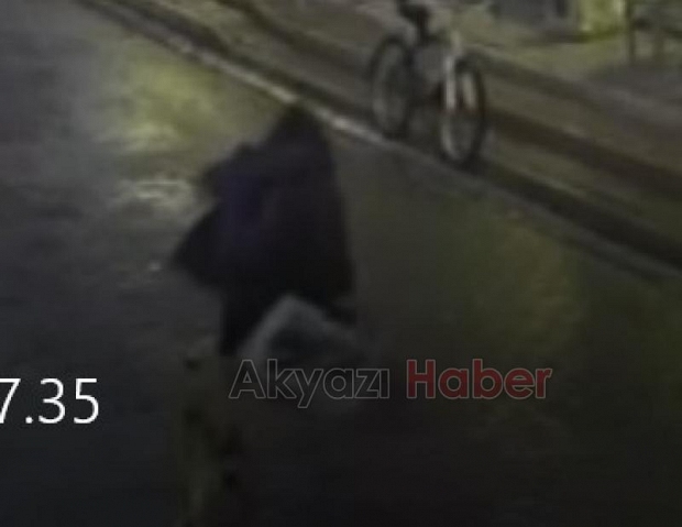 Akyazı'da okuldan dönen çocuğa sokak köpekleri saldırdı