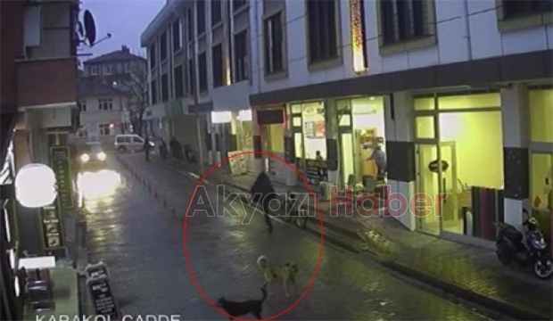 Çocuğa köpekler saldırmıştı; Esnaflar yaşananları anlattı