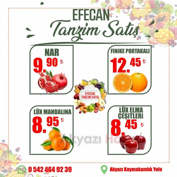 Meyve ve Sebzenin İyisi Efecan Tanzim'de