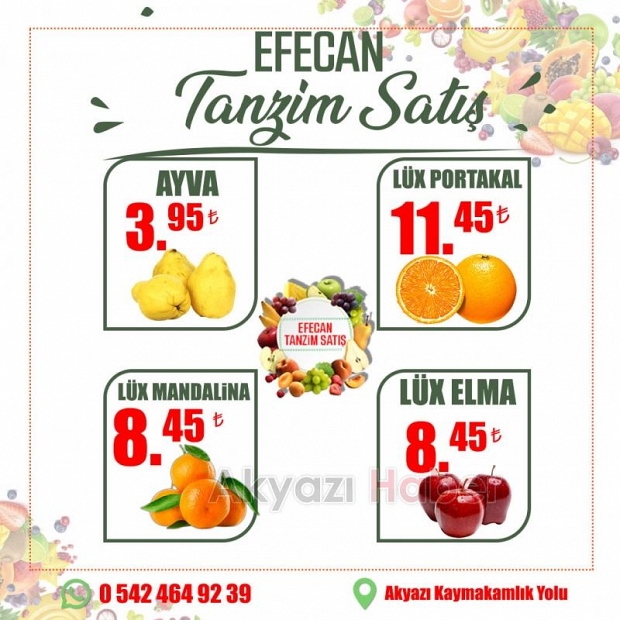 Meyve ve Sebzenin İyisi Efecan Tanzim'de