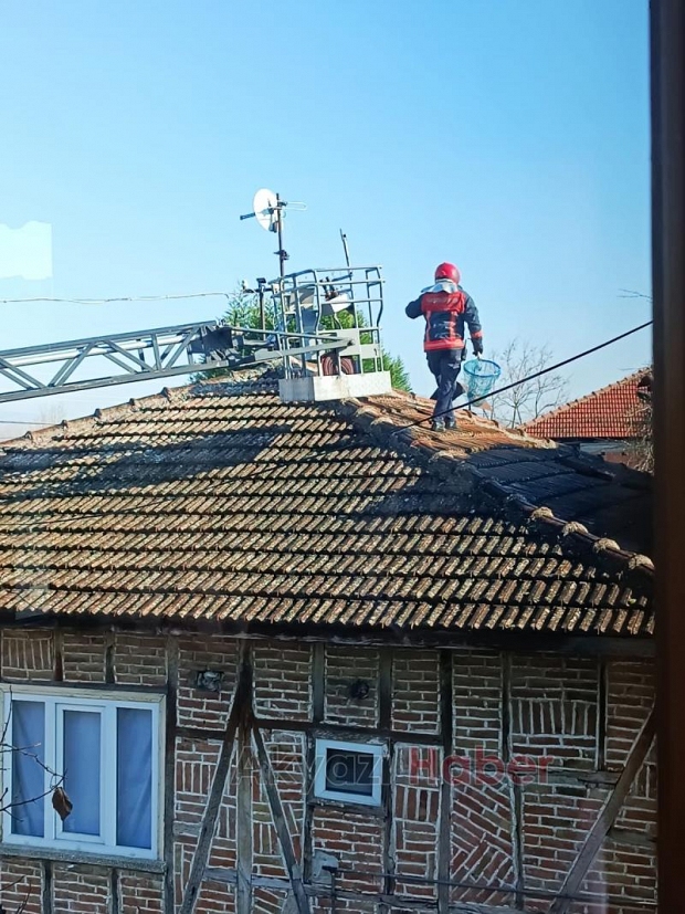 Kedinin yardımına itfaiye koştu