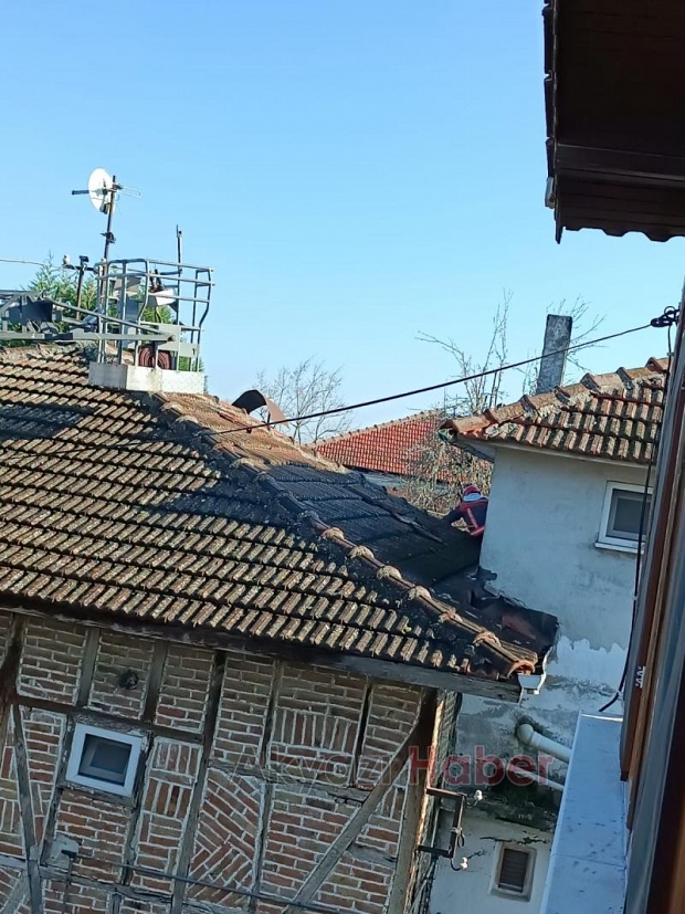 Kedinin yardımına itfaiye koştu