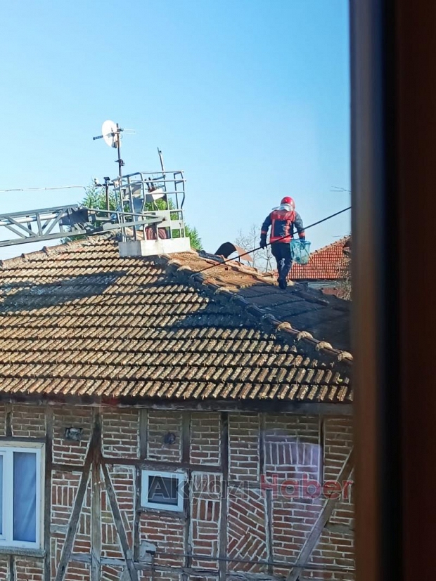 Kedinin yardımına itfaiye koştu