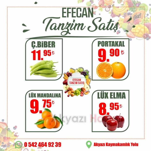 Meyve ve Sebzenin İyisi Efecan Tanzim'de