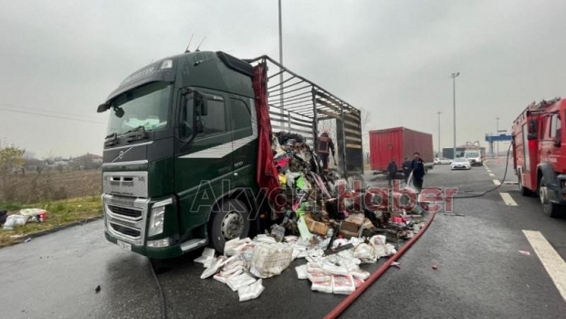 Tır alevlere teslim oldu, taşıdığı yükler küle döndü