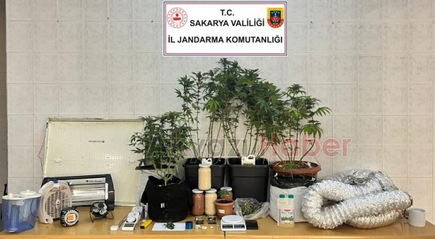 Evi esrar bahçesine çevirmiş