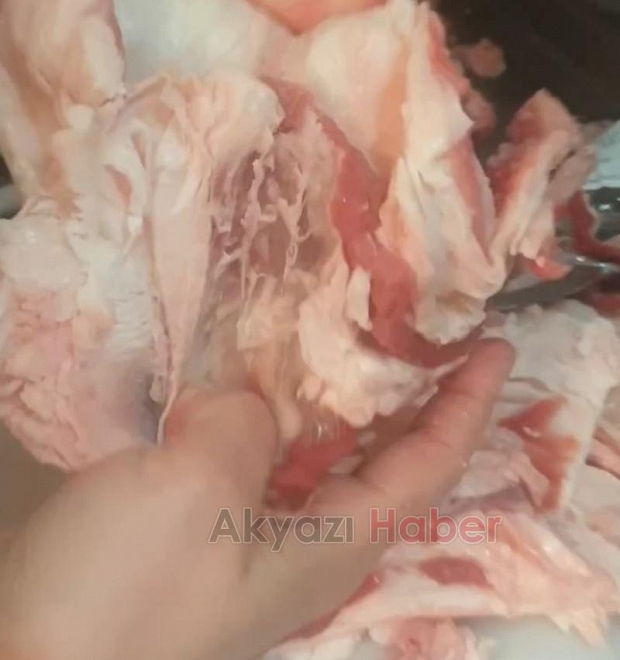 Et ve Süt Kurumu'ndan aldığı koyun güveçleri görünce şok oldu!