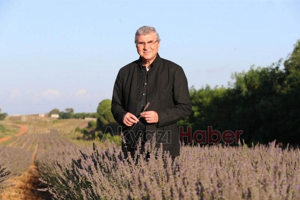 Sakarya Botanik Vadi Projesi'nde yeni gelişme