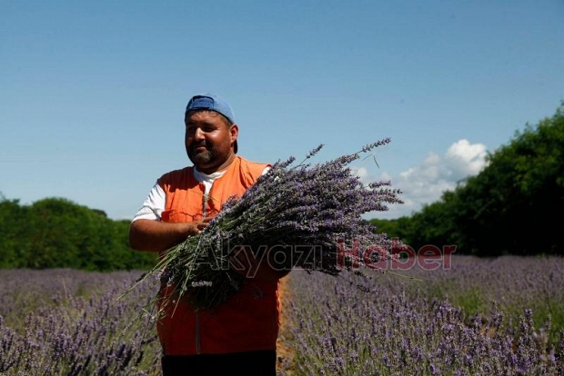 Sakarya Botanik Vadi Projesi'nde yeni gelişme