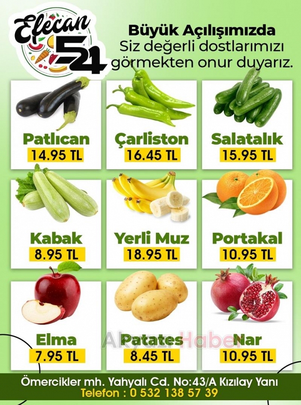 Efecan 54 Akyazı Tanzim açıldı.