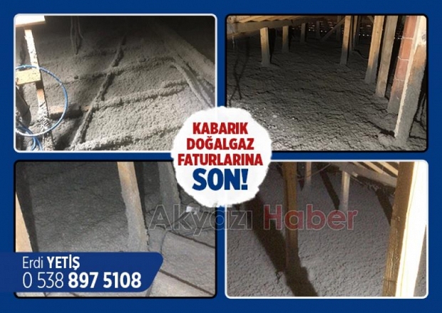 CelluBor; yalıtımın doğal çözümü