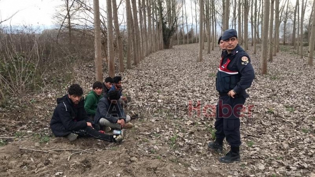 Afganlı kaçakları vatandaş tarlalardan topladı