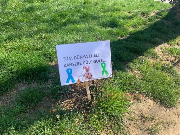 Akyazı'da kolorektal kanseri farkındalık etkinliği