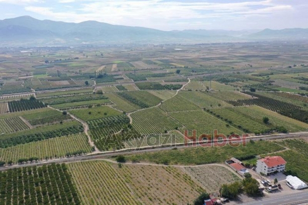 Yabancılara tarım arazisi satışında Sakarya ilk 5'te